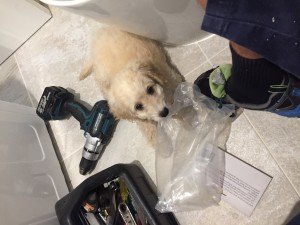 Customer Provided a Helper Cromer                          